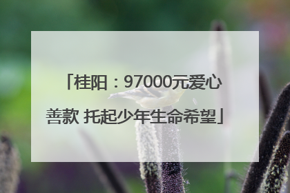 桂阳：97000元爱心善款 托起少年生命希望